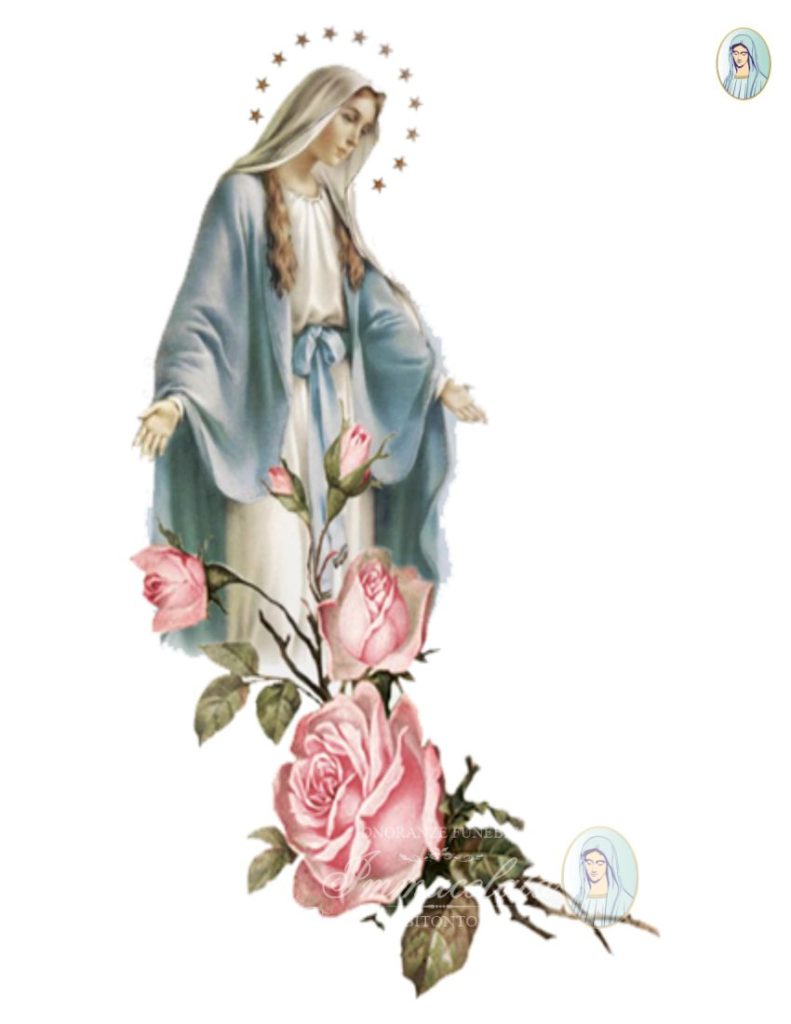 MARIA ABBONDANZA O.F. IMMACOLATA BITONTO