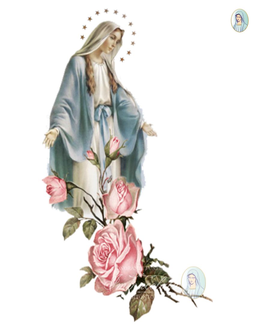 MARIA ABBONDANZA O.F. IMMACOLATA BITONTO