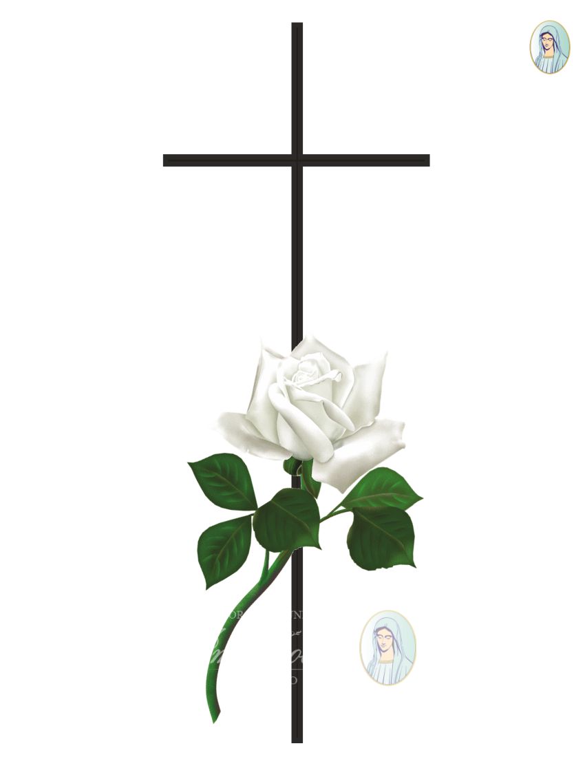 Marzia Bracciodieta O.F. IMMACOLATA BITONTO