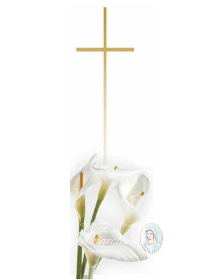 GIUSEPPE ANTONACCI O.F.IMMACOLATA BITONTO