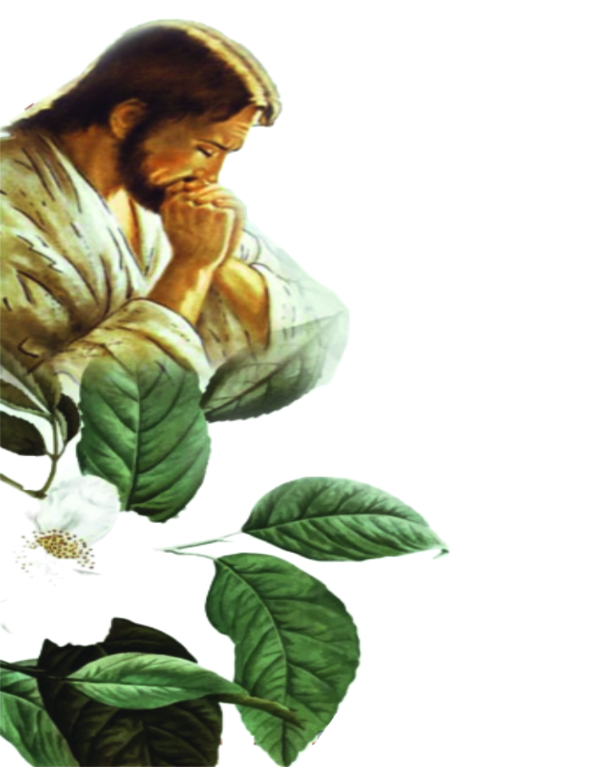 Foto Benito Vittorio campanella O.F.Immacolata Bitonto