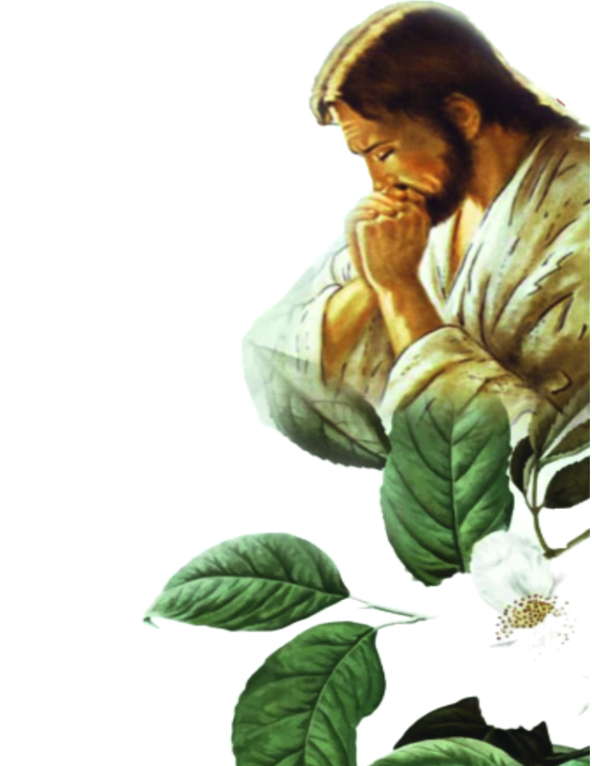 FOTO BENSO PERCOCO MOREA O.F. IMMACOLATA BITONTO