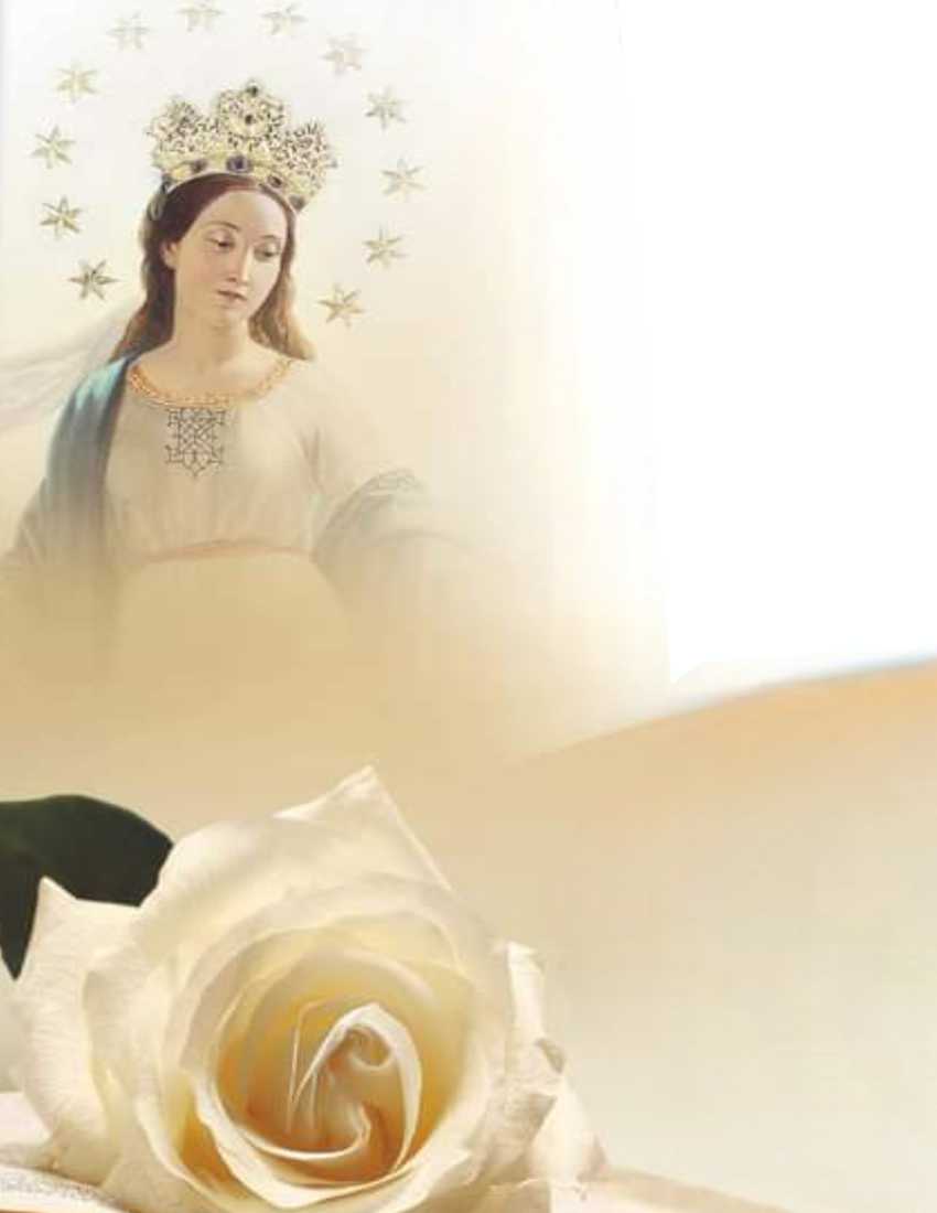 Foto Emanuella Ladisa O.F.Immacolata Bitonto