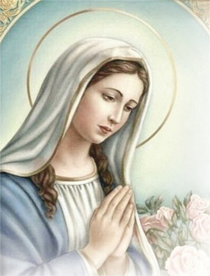 Maria Giuseppa Amendolagine O.f. Immacolata Bitonto