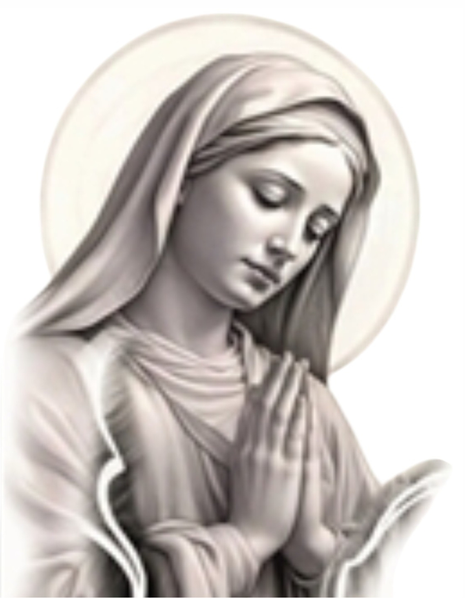FOTO ANNA DIMUNDO O.F. IMMACOLATA BITONTO