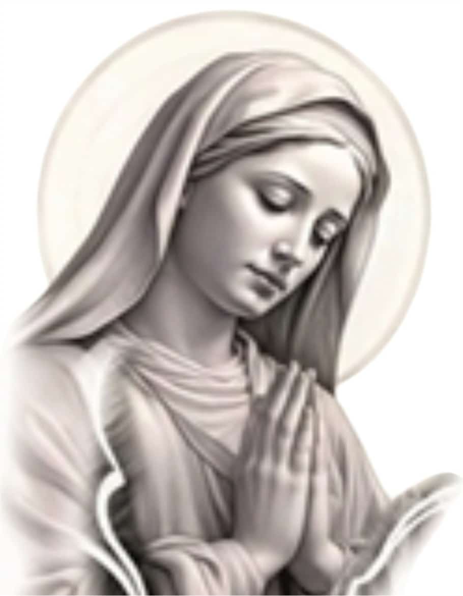 FOTO CERSARIA SIGNORILE O.F. IMMACOLATA BITONTO